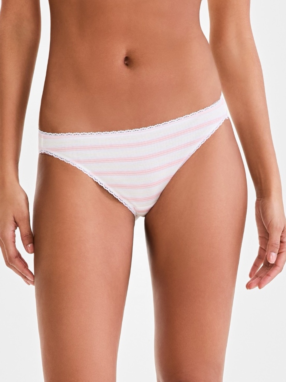 Charter Club Women's Everyday Cotton Bikini Underwear | Duo Stripe | XL